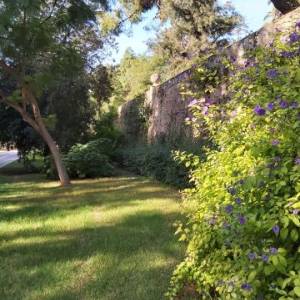 valencia07_original_copy_1